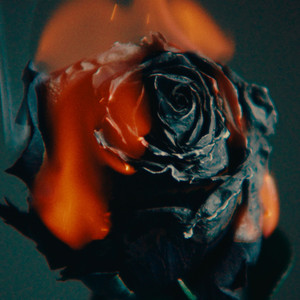 老子午夜精品我不卡影院
