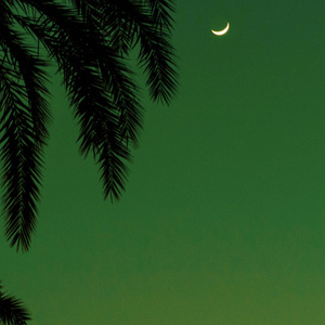 老子午夜精品我不卡影院
